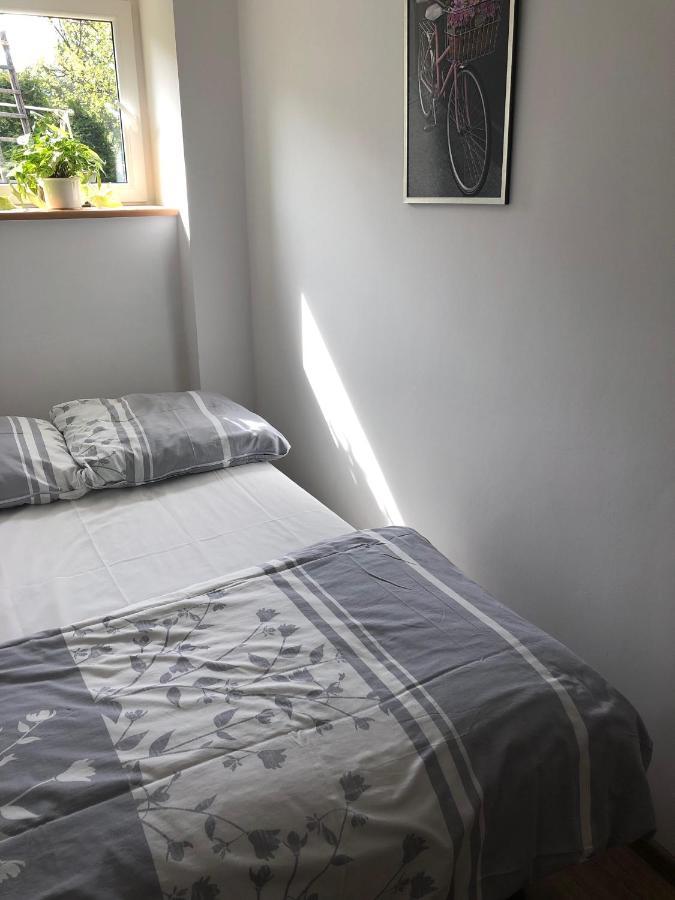 Noclegi Pod Kasztanem Duszniki Zdrój Exterior foto